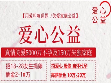 加查捐卵助孕生子 爱心志愿者招募